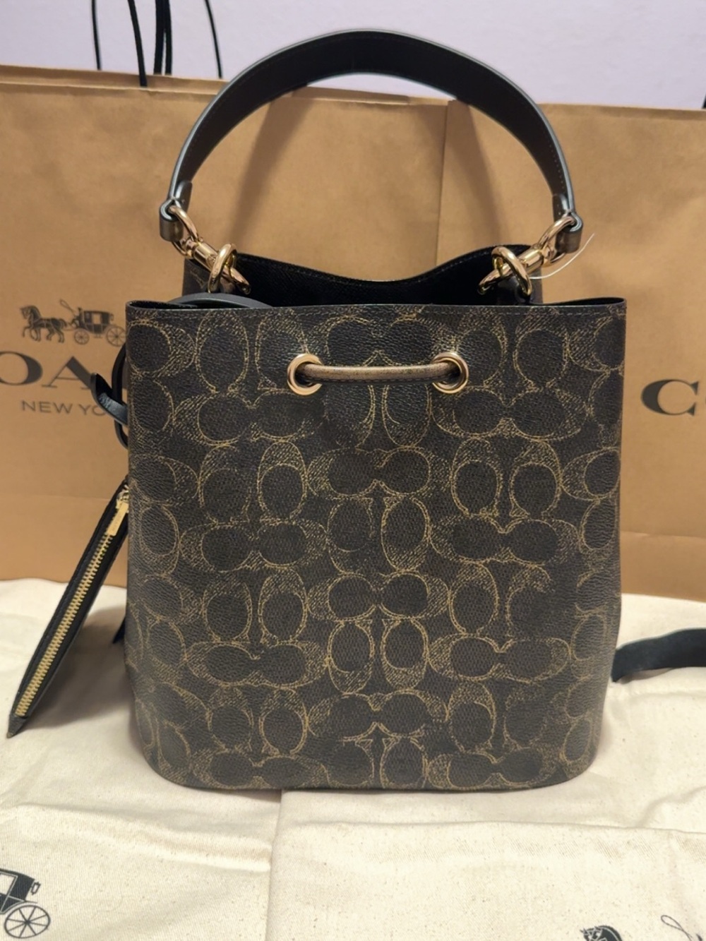 Rowan Bucket Bag in Loved Signature Coated Canvas - Picture 6 of 11